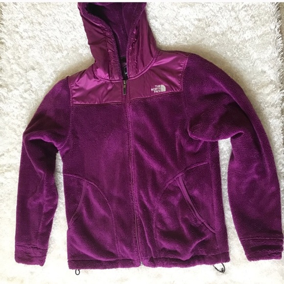 The North Face Jackets & Blazers - The North Face Jacket Fleece